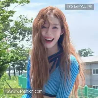 甄辰玮